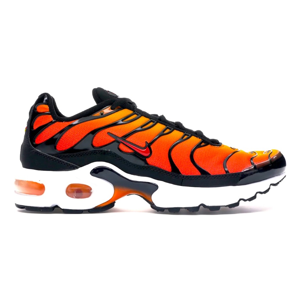 Nike Air Max Plus - image 1